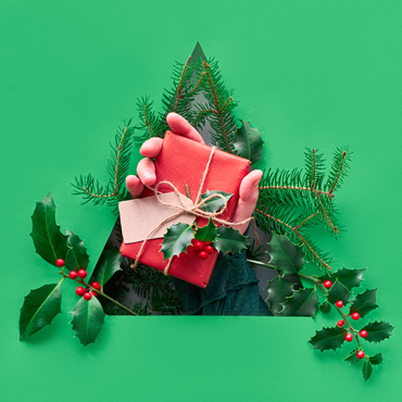 Have a Merry “Sustainable” Christmas: Save the Earth and your Wallet too!